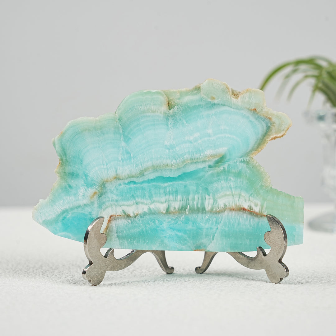 Tranche de serpent en obsidienne dorée