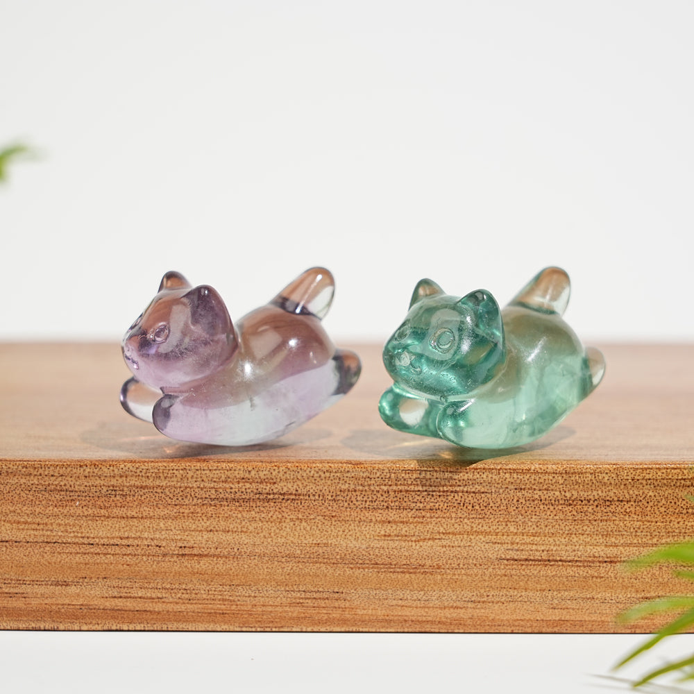 Natural Crystal Carving Cute Fluorite Wiggle Cat