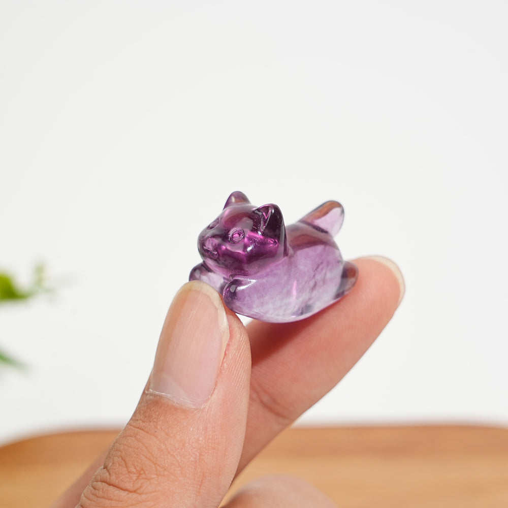 Natural Crystal Carving Cute Fluorite Wiggle Cat