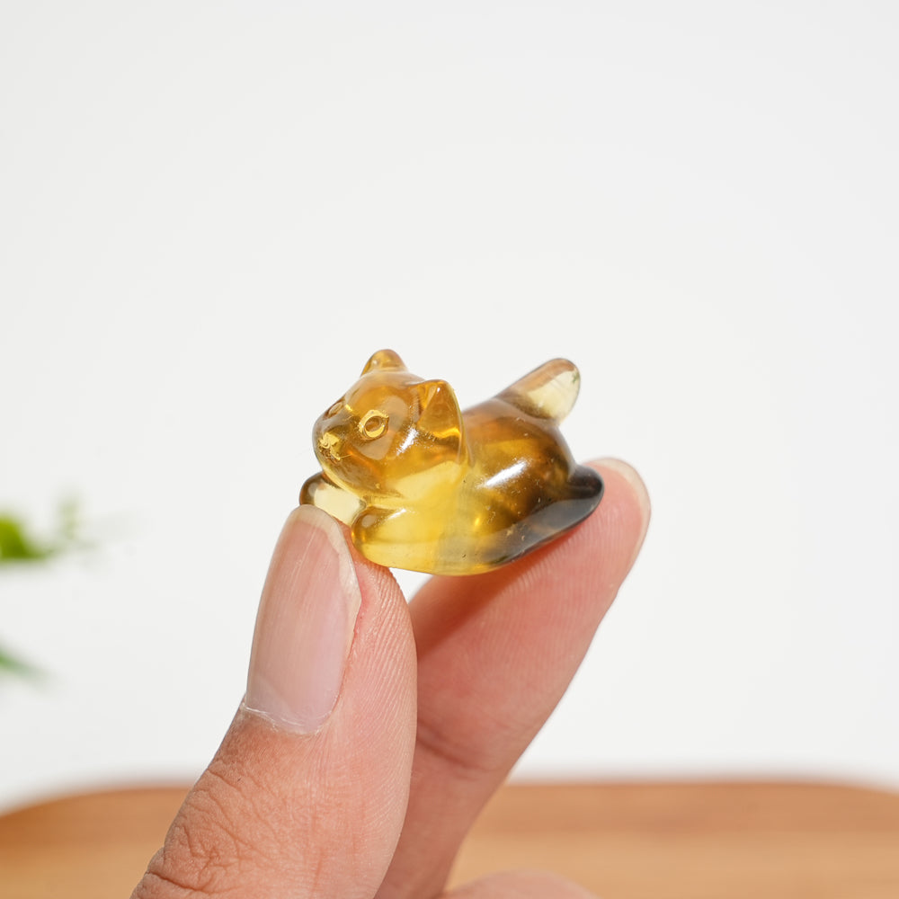 Natural Crystal Carving Cute Fluorite Wiggle Cat