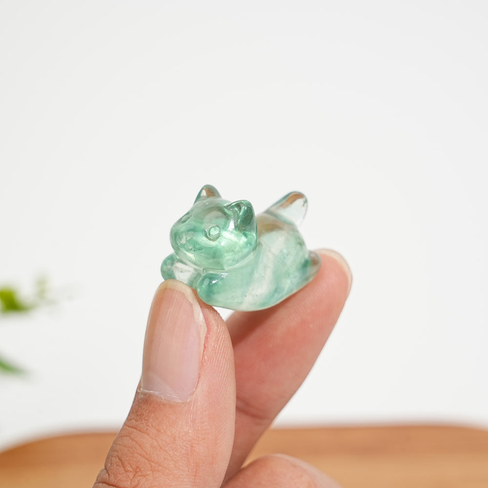 Natural Crystal Carving Cute Fluorite Wiggle Cat
