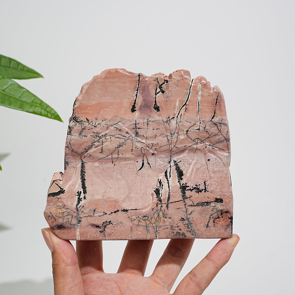 Unique,Natural Picture Jasper Landscape Carving