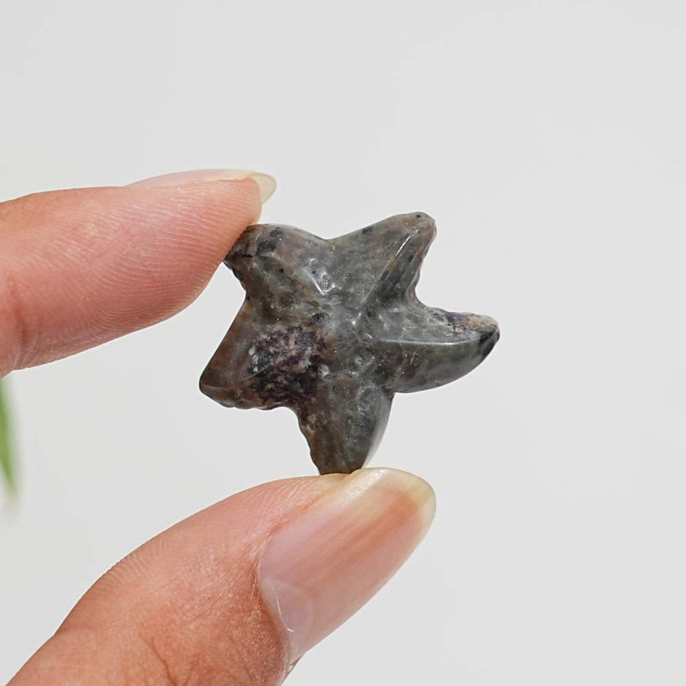 Natural Crystal Carving Mixed Material Starfish