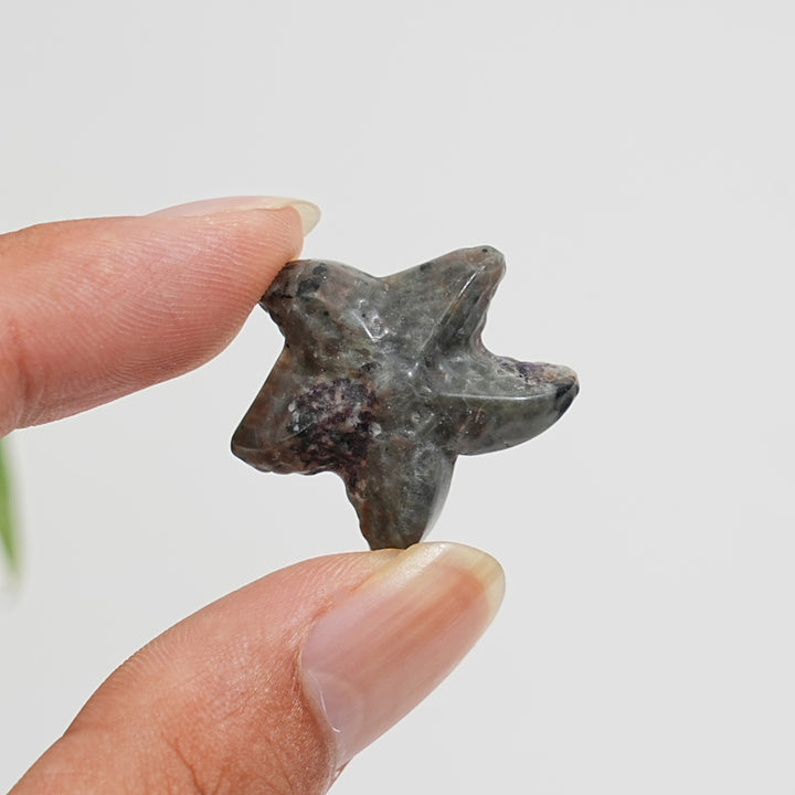 Natural Crystal Carving Mixed Material Starfish