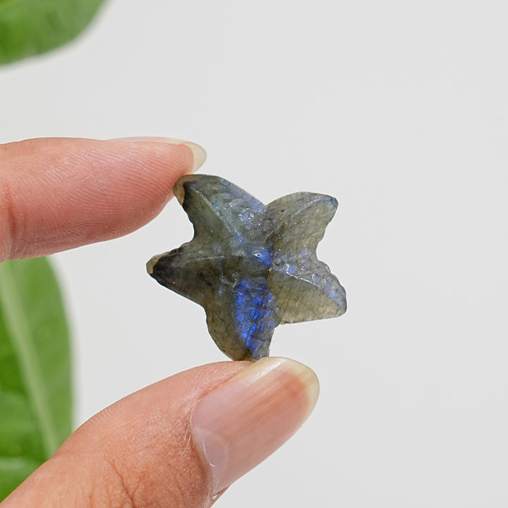 Natural Crystal Carving Mixed Material Starfish