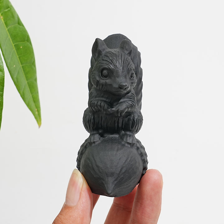 Unique,A Slightly Imperfect Natural Crystal Black Obsidian Squirrel