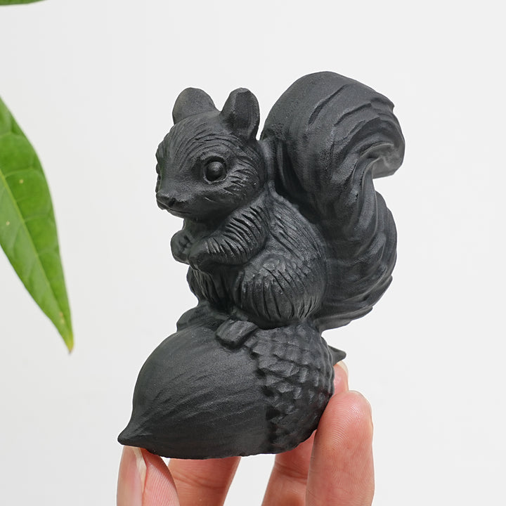 Unique,A Slightly Imperfect Natural Crystal Black Obsidian Squirrel