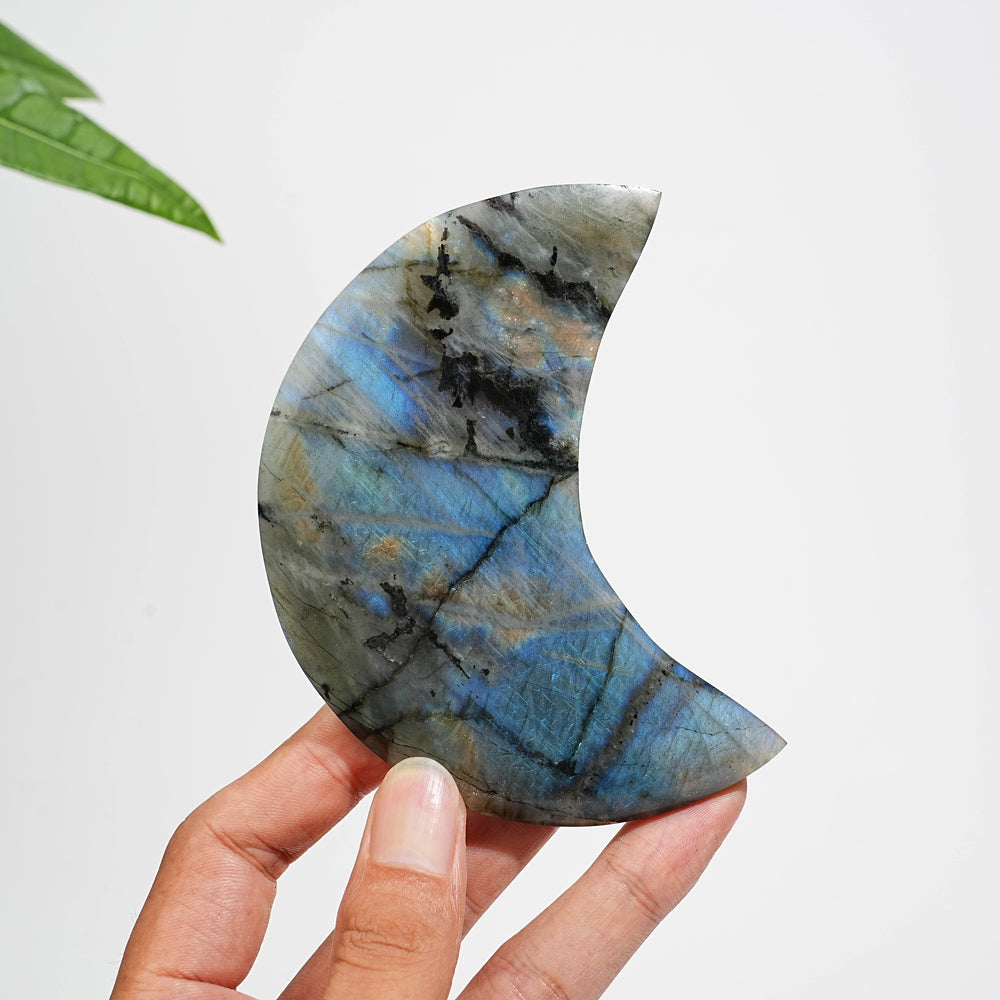 Unique,Natural Labradorite Crystal Moon With Stand