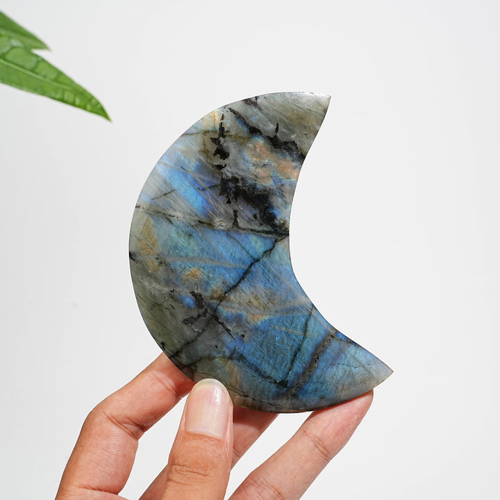 Unique,Natural Labradorite Crystal Moon With Stand