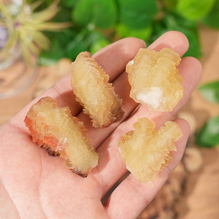Natural Pagoda Calcite Raw