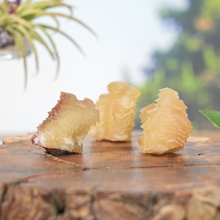 Natural Pagoda Calcite Raw