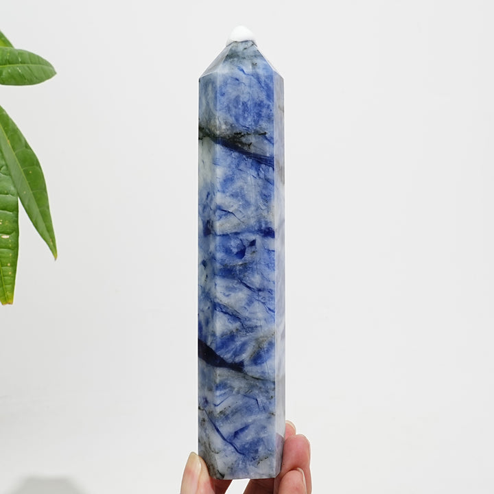 Punta de Sodalita de Porcelana Azul y Blanca en Cristal Natural y Único