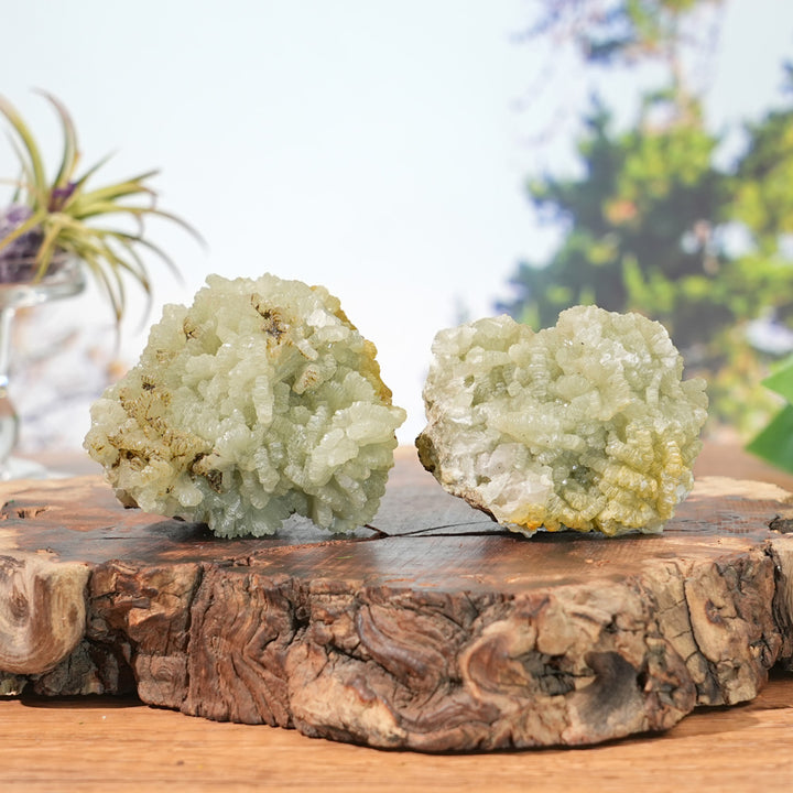 Unique, Natural Prehnite Raw