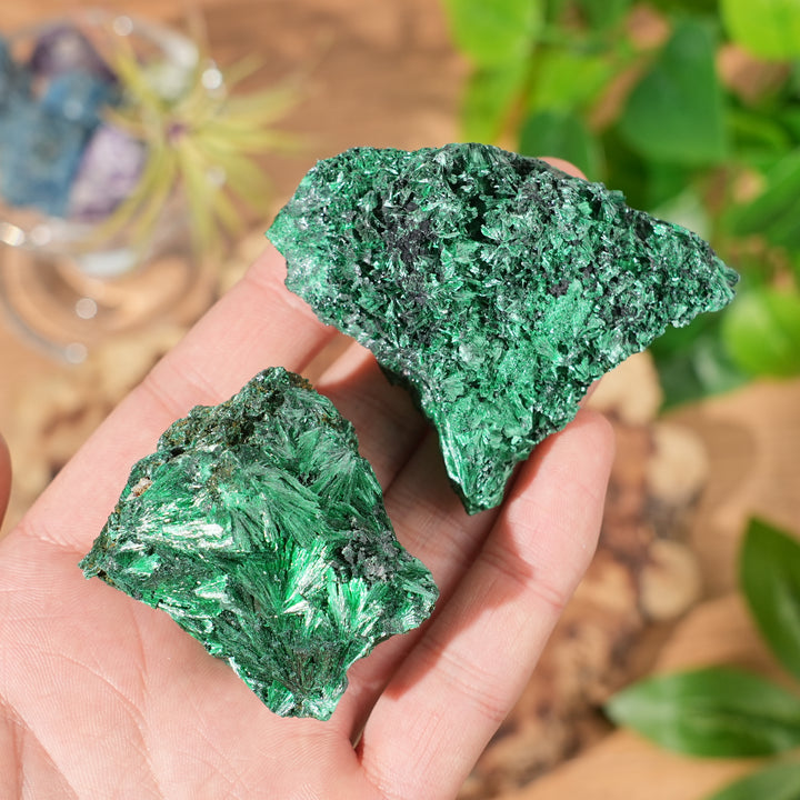 Natural Malachite Needle Mineral Raw