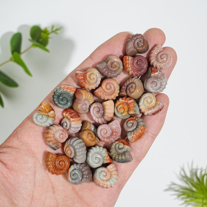 Natural Crystal Carving Alashan Agate Conch