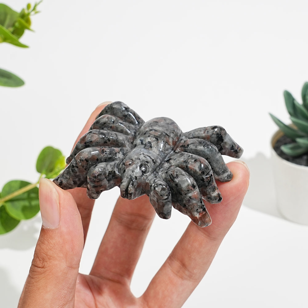 Natural Crystal Crawling Spider Carving