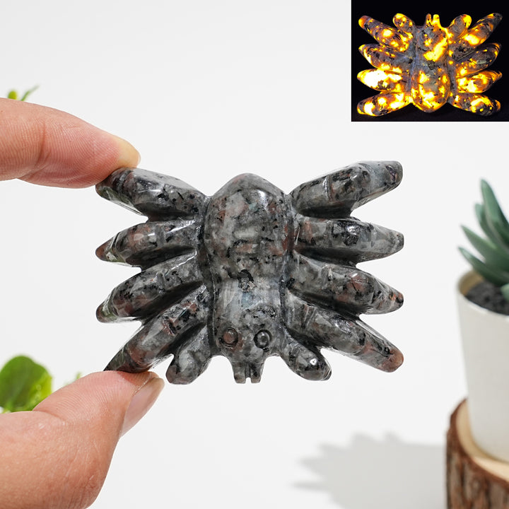 Natural Crystal Crawling Spider Carving