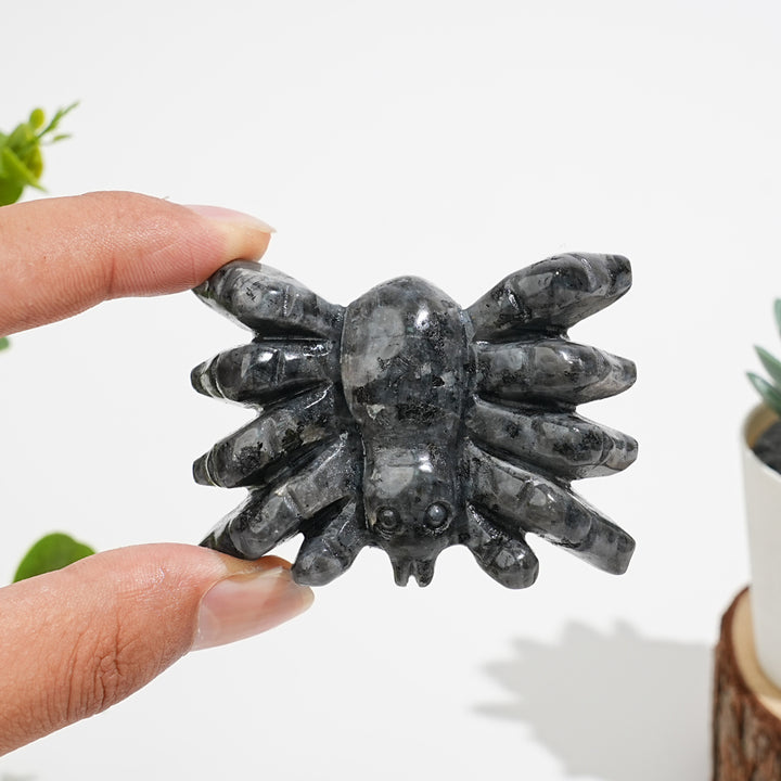 Natural Crystal Crawling Spider Carving