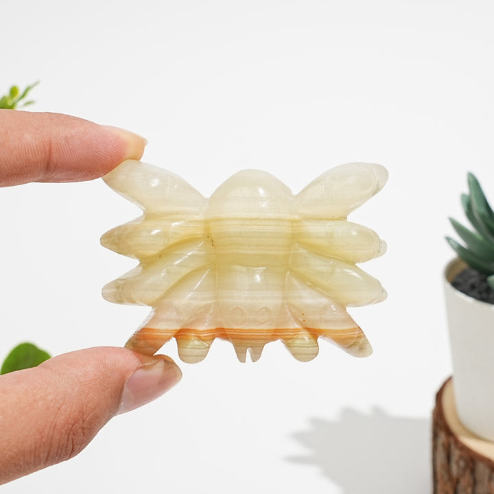 Natural Crystal Crawling Spider Carving