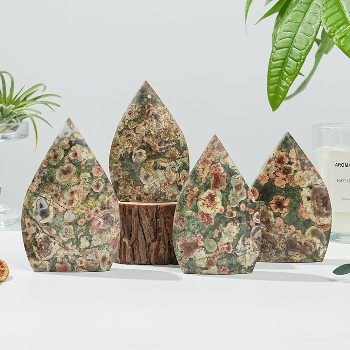 Natural Money Agate Teardrop