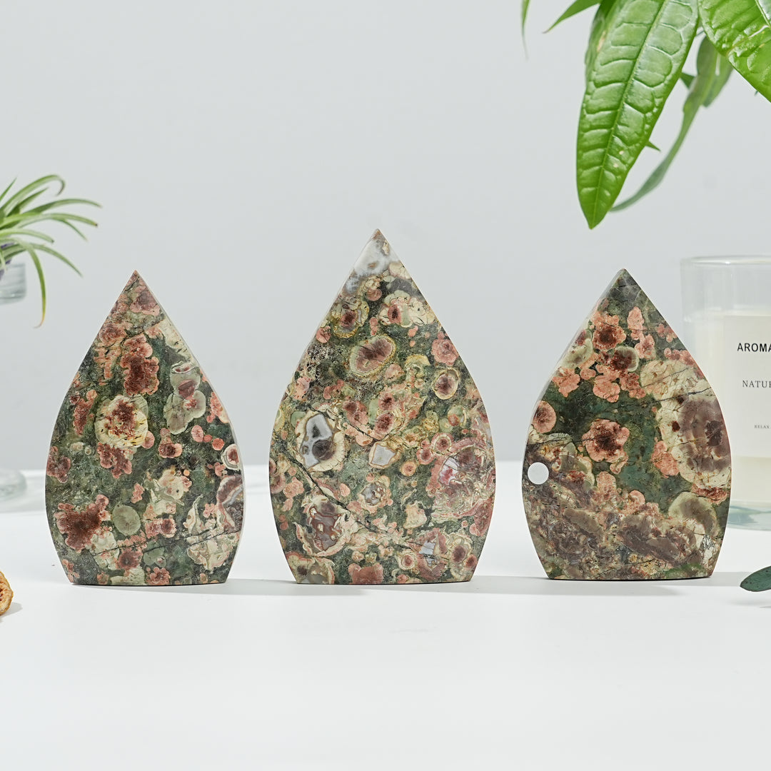 Natural Money Agate Teardrop