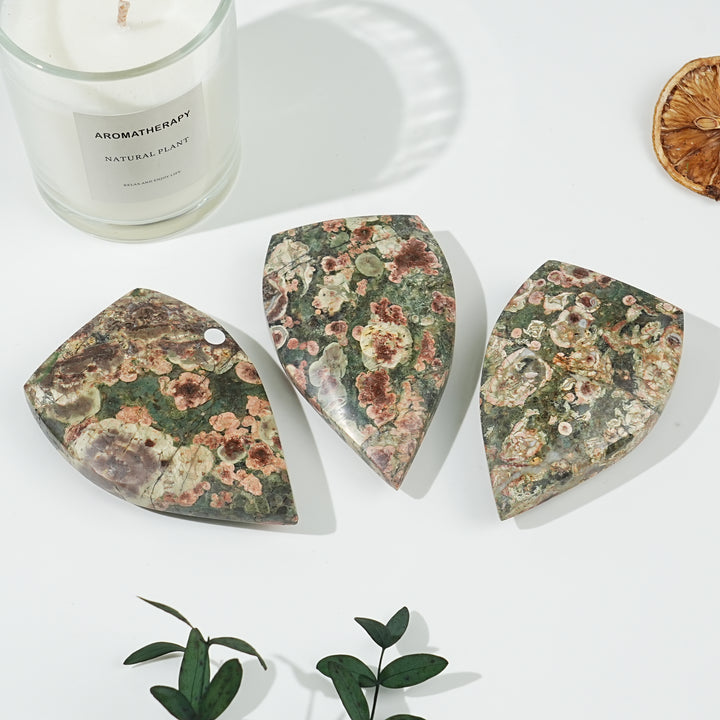 Natural Money Agate Teardrop