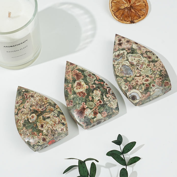 Natural Money Agate Teardrop