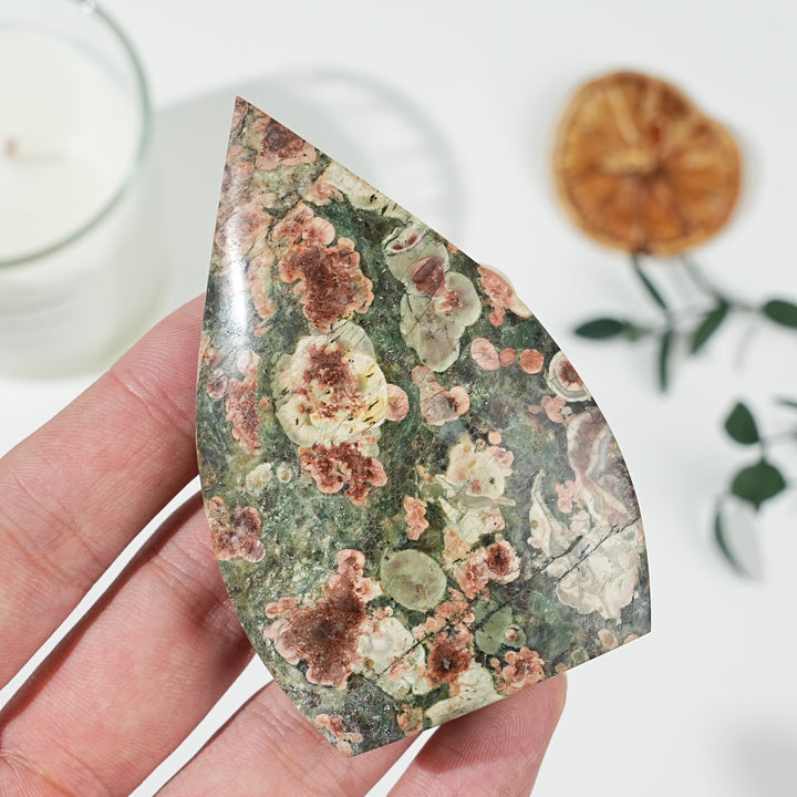 Natural Money Agate Teardrop