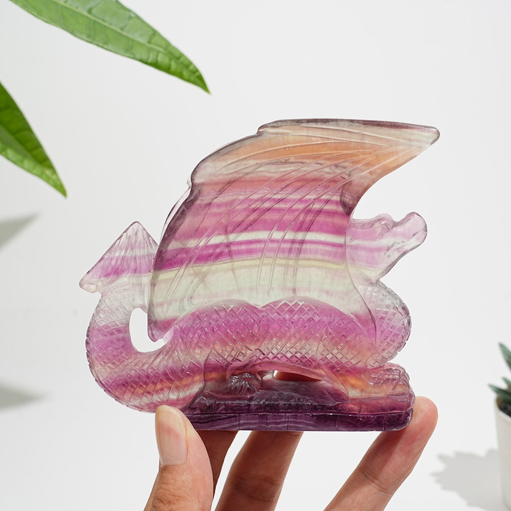 Unique,A Slightly Imperfect Natural Fluorite Winged Dragon Carving