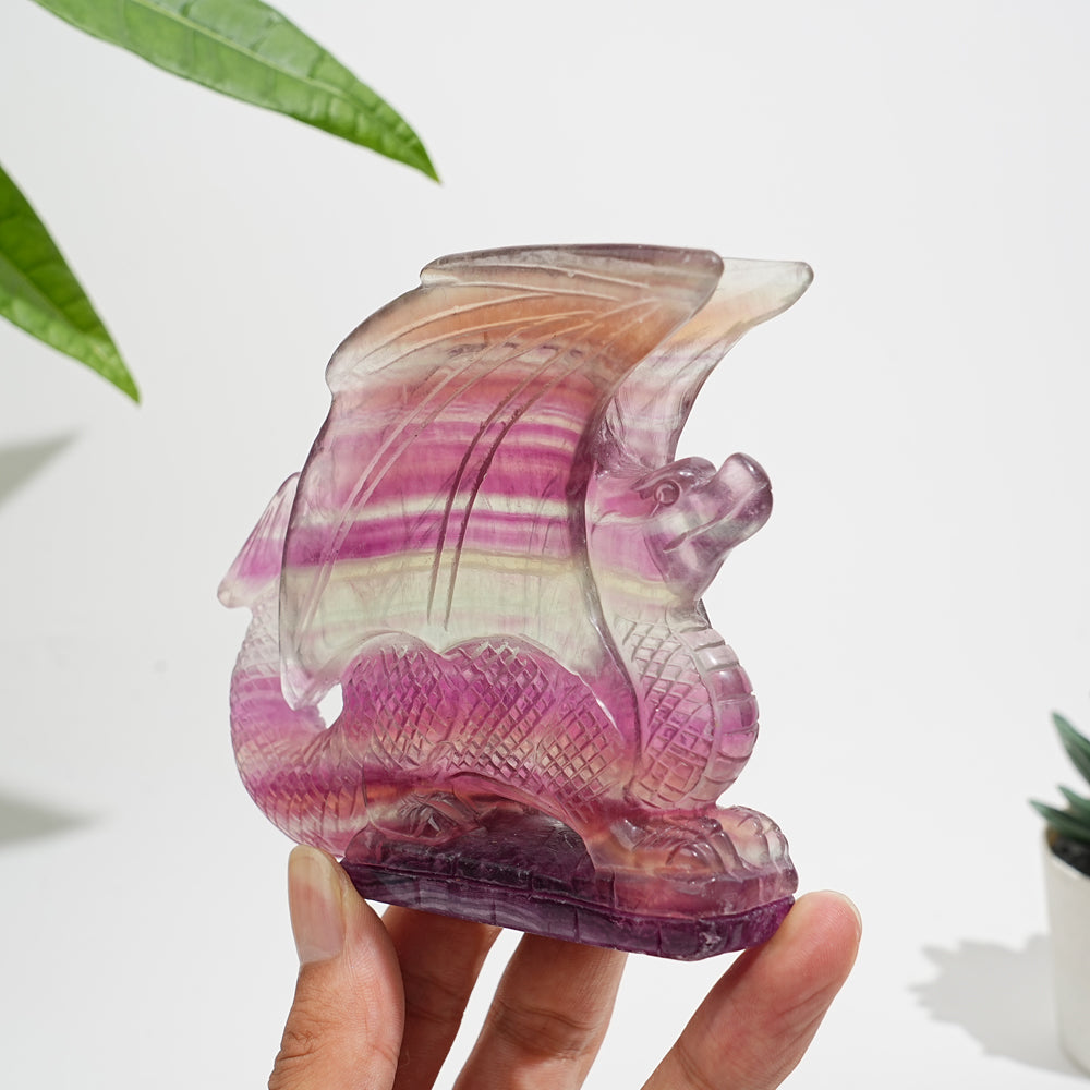 Unique,A Slightly Imperfect Natural Fluorite Winged Dragon Carving