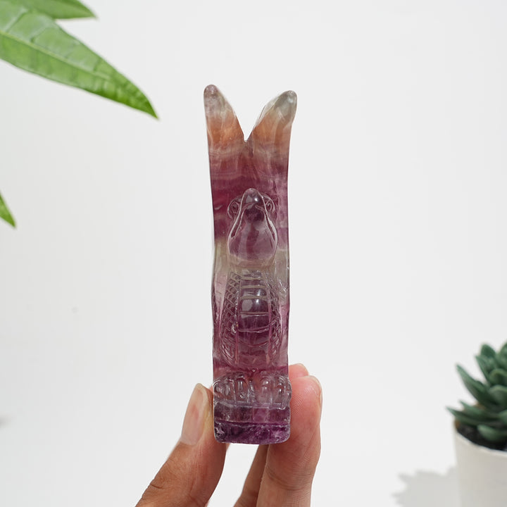 Unique,A Slightly Imperfect Natural Fluorite Winged Dragon Carving