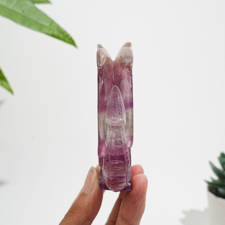 Unique,A Slightly Imperfect Natural Fluorite Winged Dragon Carving