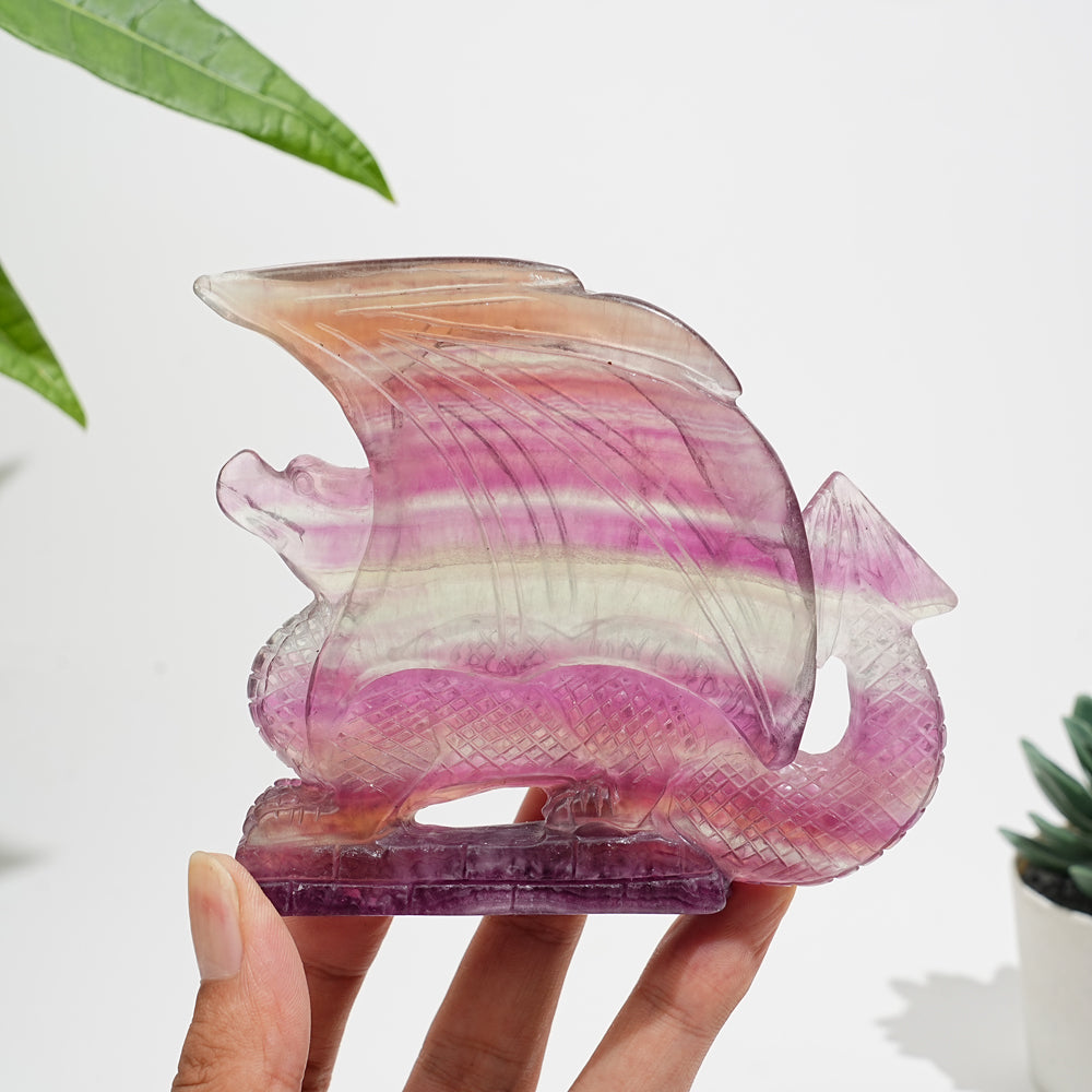 Unique,A Slightly Imperfect Natural Fluorite Winged Dragon Carving