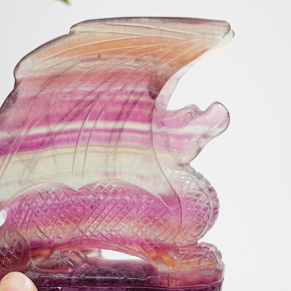 Unique,A Slightly Imperfect Natural Fluorite Winged Dragon Carving