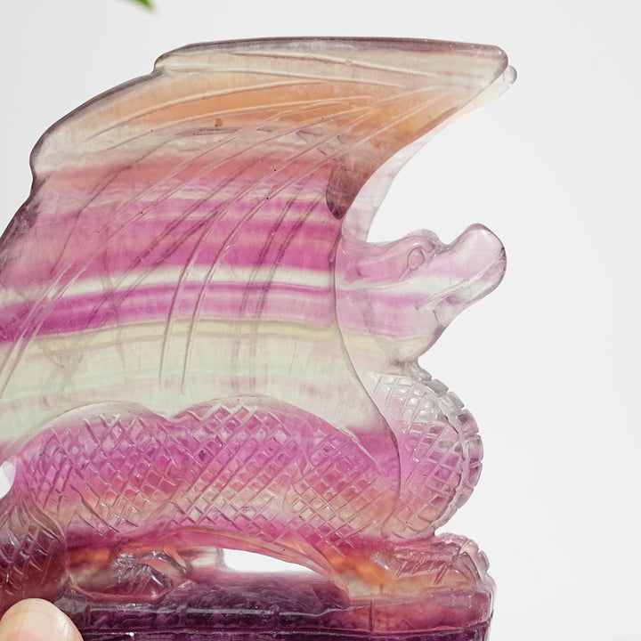 Unique,A Slightly Imperfect Natural Fluorite Winged Dragon Carving