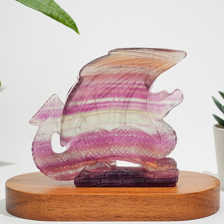 Unique,A Slightly Imperfect Natural Fluorite Winged Dragon Carving