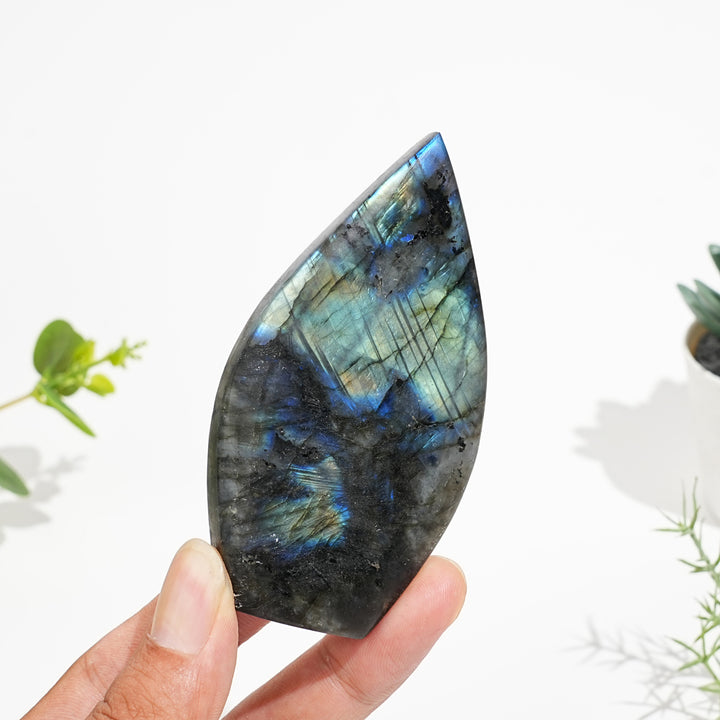 Natural Crystal Glowing Labradorite Teardrop