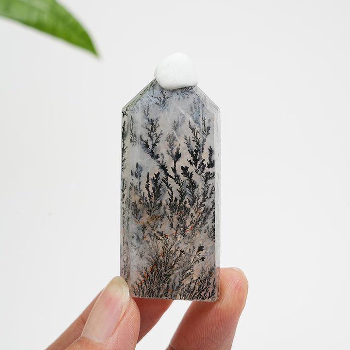 Unique,Natural Crystal Dendritic Quartz Point