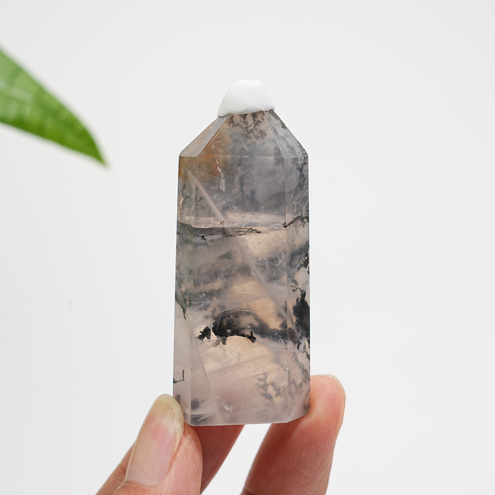 Unique,Natural Crystal Dendritic Quartz Point
