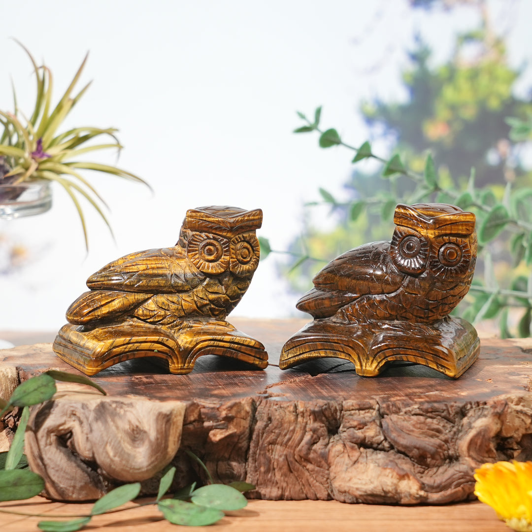 Natural Tiger Eye Reading Owl