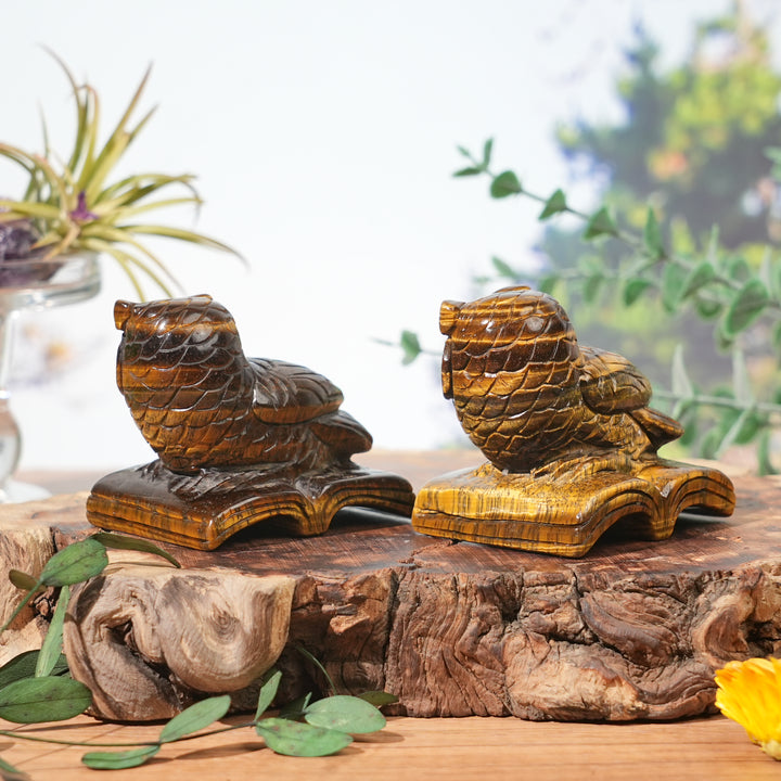 Natural Tiger Eye Reading Owl