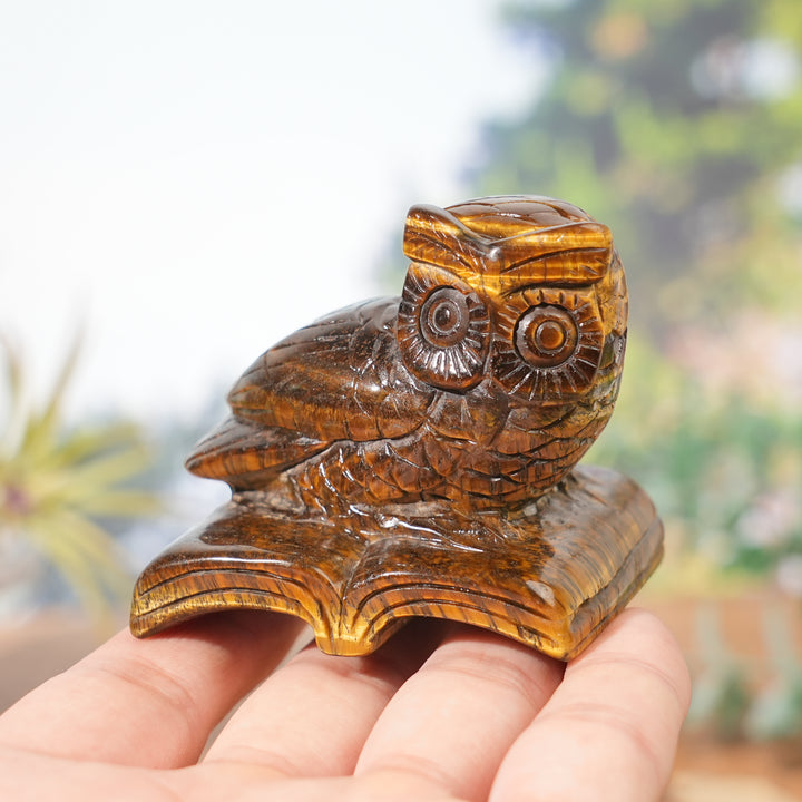 Natural Tiger Eye Reading Owl