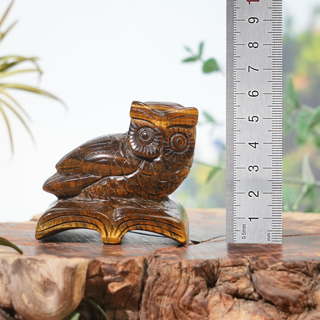 Natural Tiger Eye Reading Owl
