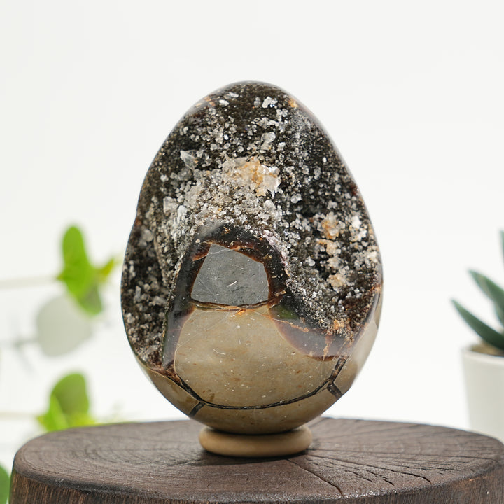 Unique,Natural Crystal Septarian Egg