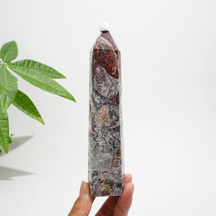 Unique,Natural Crystal Large Mexican Agate Point