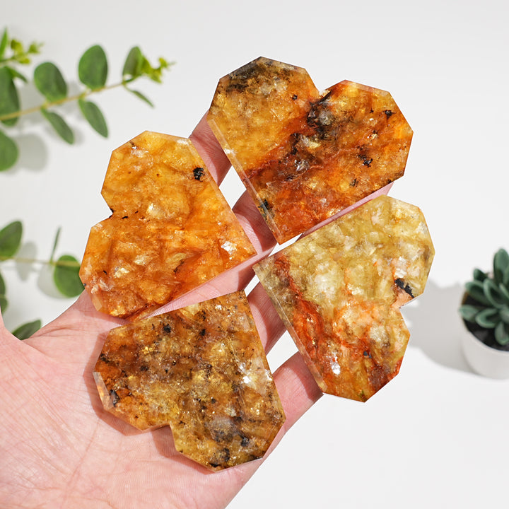 Natural Crystal Phlogopite With Hematite Heart