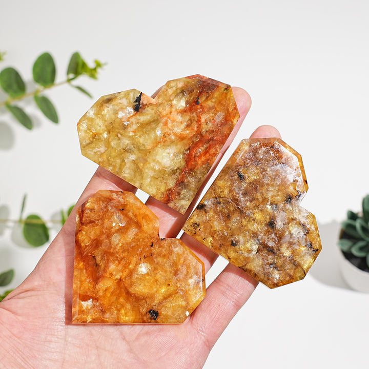 Natural Crystal Phlogopite With Hematite Heart