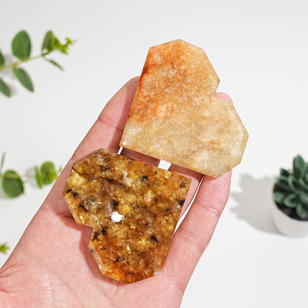 Natural Crystal Phlogopite With Hematite Heart