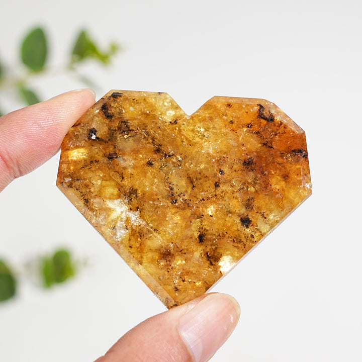 Natural Crystal Phlogopite With Hematite Heart