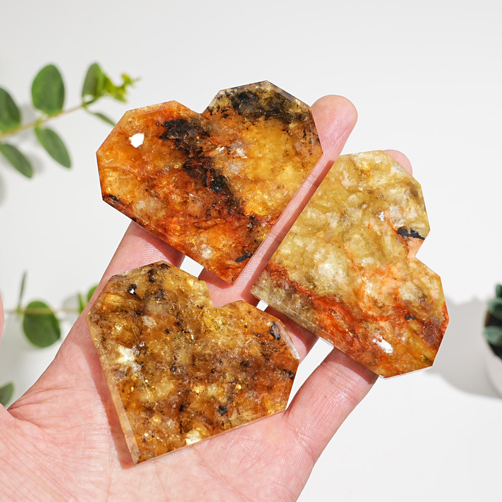 Natural Crystal Phlogopite With Hematite Heart